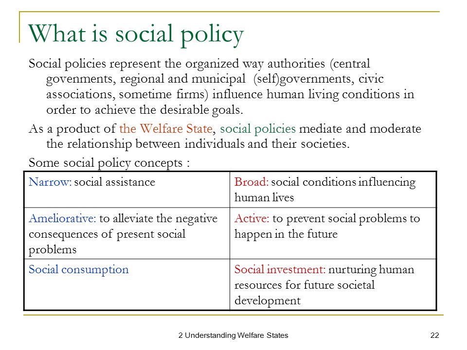An understanding of the social welfare policy